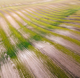 Vue aérienne de champs agricoles cultivés grâce à une nouvelle technologie agricole