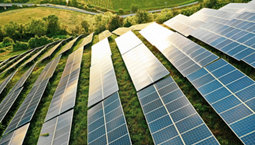 Terrains couverts de panneaux solaires sur des collines vertes