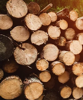 A picture displaying stack of wood logs