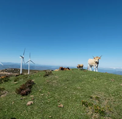 La-Penuca-Spain