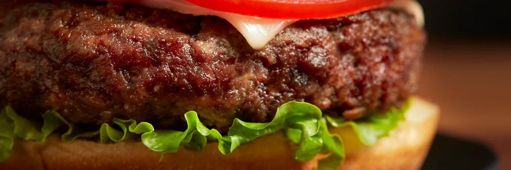 cheeseburger on a plate