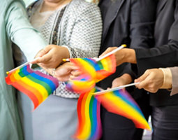 People waving pride flags