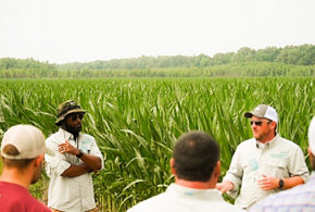 photo of Vayda farmers in a field