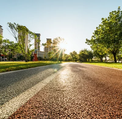 Scenic tree lined road with the sun in the background.