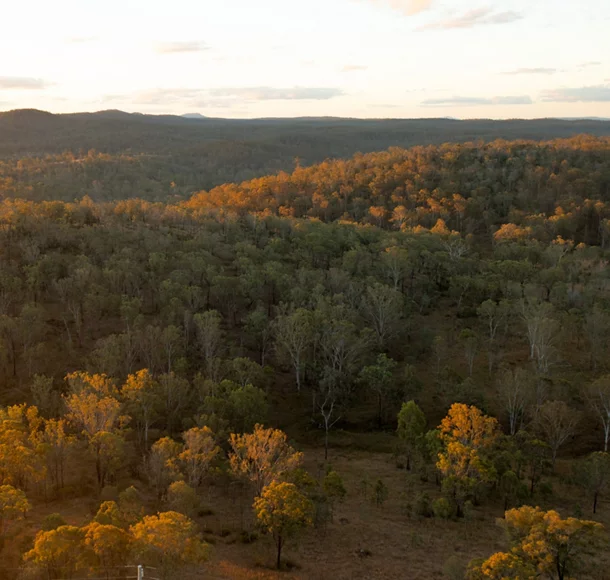  Catchment Conservation Alliance Project on Goondicum Station QLD