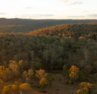 Catchment Conservation Alliance Project On Goondicum Station QLD