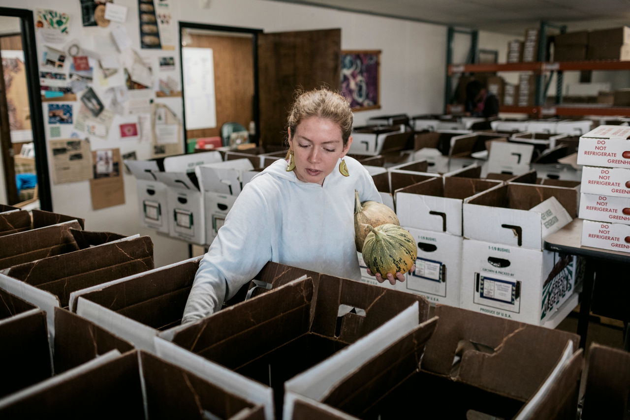 MOSCA, CO - SEPT. 16, 2021 - Eliza Grace packs squash into CSA boxes at the Local Foods Coalition food hub warehouse in Mosca.The SLV Local Foods Coalition operates a variety of food and nutrition-based programs in Alamosa County, including a network of farmers' markets, a "Healthy Habits" program promoting consumption of fruits and veggies, a "Cooking Matters" program offering educational films, along with speakers and events to the public.  The Local Foods Coalition also participates in policy development that affects the production and distribution of local foods and is working to create a regional food hub in the San Luis Valley.