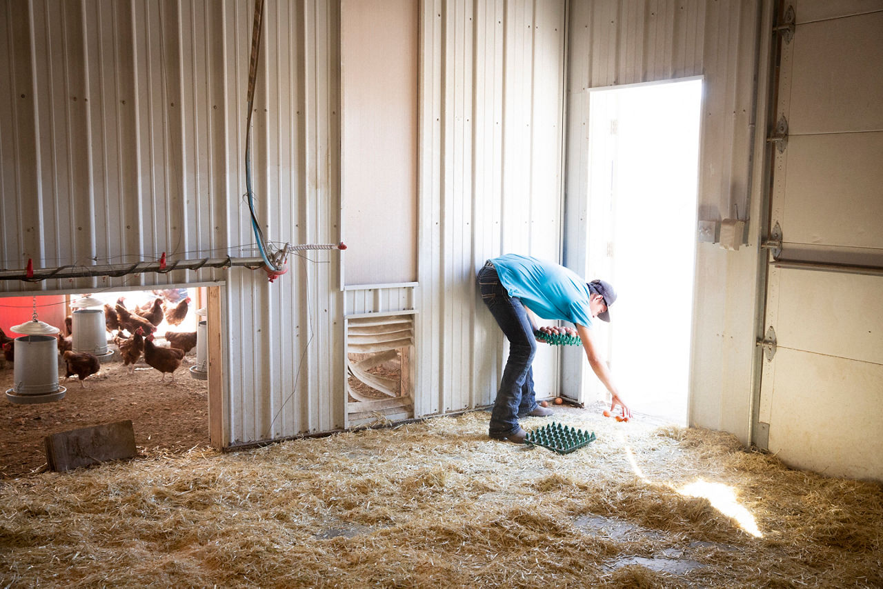 The Thunder Valley Community Development Corporation helped create the Lakota Food Sovereignty Coalition, which aims to solve issues related to food deserts on the reservation through local farming,  regenerative farming techniques, and a farmer’s market enabling local fresh food purchase.
