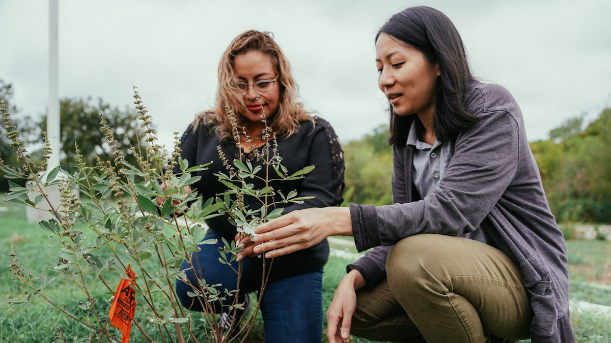 Tu-Uyen Nguyen (GAVA organizer) and Janett Iturbe (resident) admire a recently planted tree on the grounds of the Gus Garcia Recreation Center. With extreme heat and other climate issues facing Austin, community organizers and residents have been working to address the tree canopy disparity across Austin, that disproportionately affects East Austin, which has much higher numbers of Black and Latinx residents. The Rec Center also serves as a local cooling center in the case of heat emergencies.