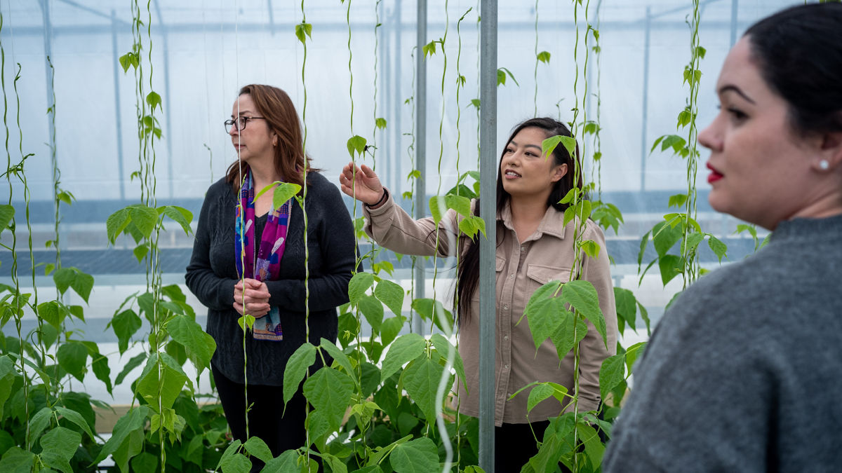 Tara Yang (C), Food Systems Strategist at Wello and Amanda Garcia (R), Executive Director of Casa ALBA Melanie along with others from Wello and Casa ALBA at Ledgeview Gardens in Green Bay. Together they are working to educate farmers and support the growing of culturally specific foods locally.