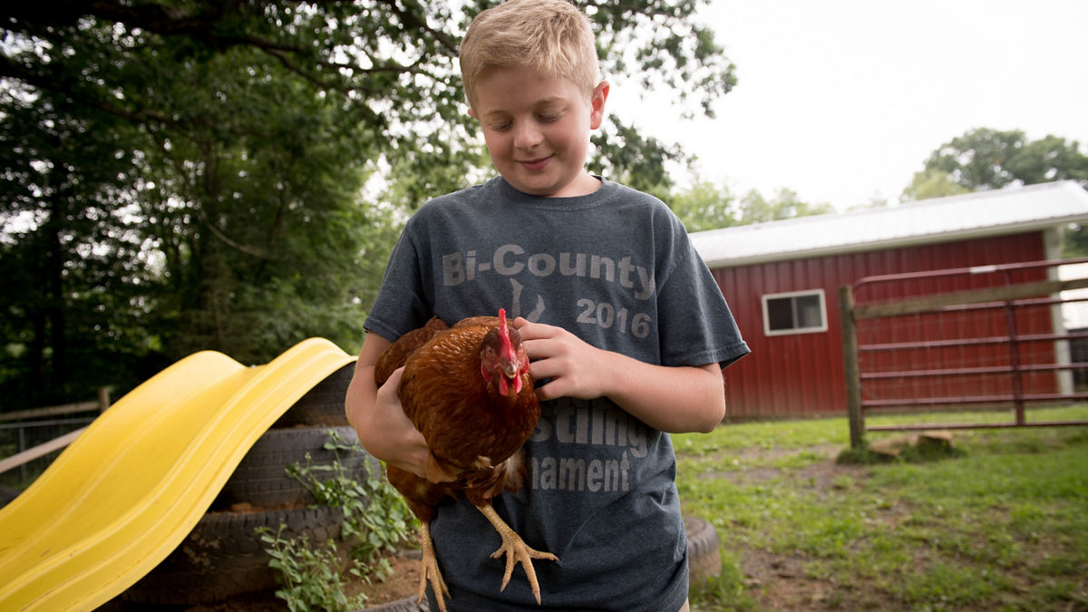 Drew Hordubay, 12, pets a chicken in front of the barn at Crellin Elementary School, which is part of an outdoor environmental laboratory in which the children learn about and participate in environmental stewardship, including a water reclamation project that deals with acid mine drainage.