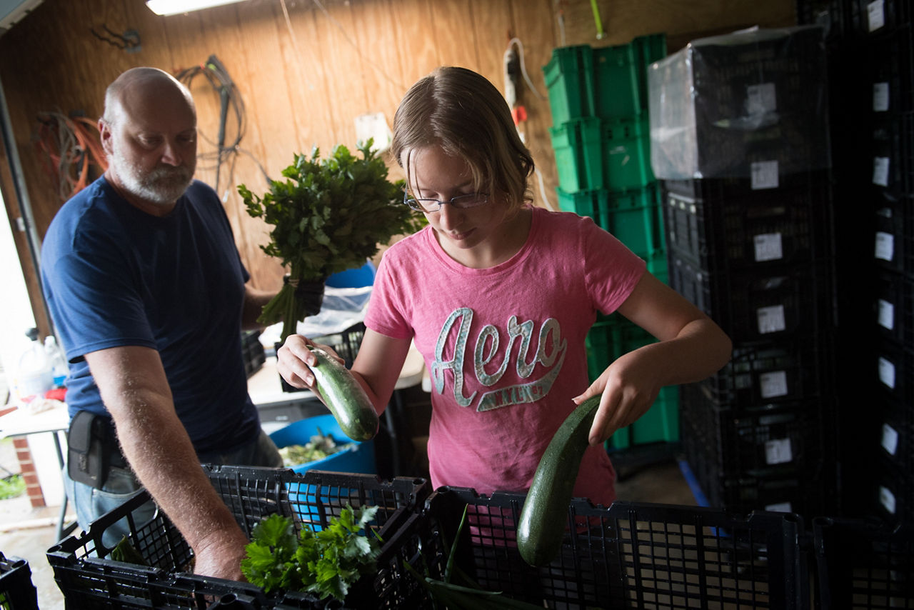 Charles DeBerry and his daughter, Anna DeBerry, 12, pack boxes of fresh produce for delivery at the DeBerry Farm, a participant in the Garret Growers Cooperative. The cooperative packages boxes of fresh produce for members of their CSA and recently started an inititaive to make the boxes available to low-income residents at a discount.