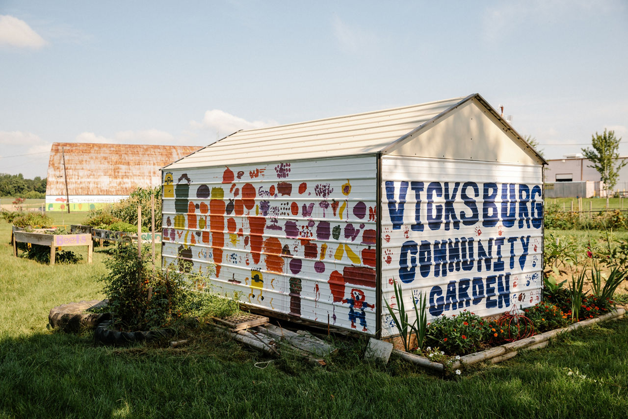 Vicksburg, MS - August 4, 2017 - A group of children from Kids R Kids, a local daycare center, visit with Linda Fondren and members of  United Way at Vicksburg Community Garden.