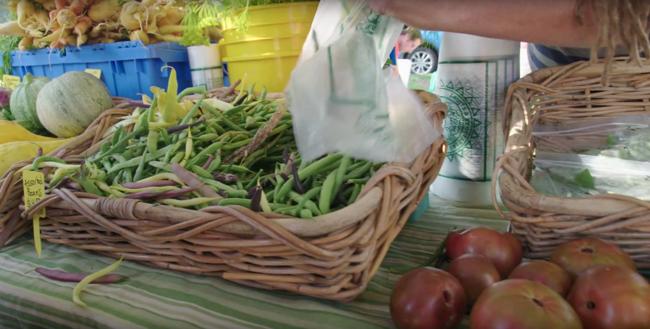 Basket of Green Beans