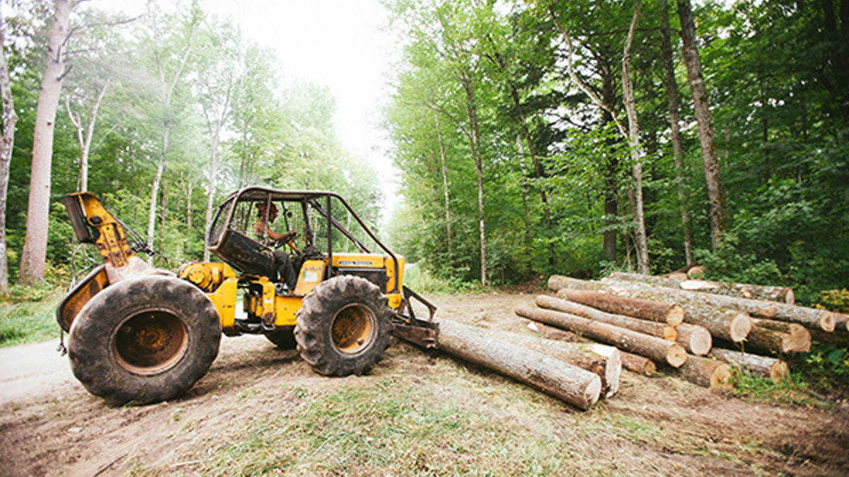 Menominee: sustainable wood harvesting mill