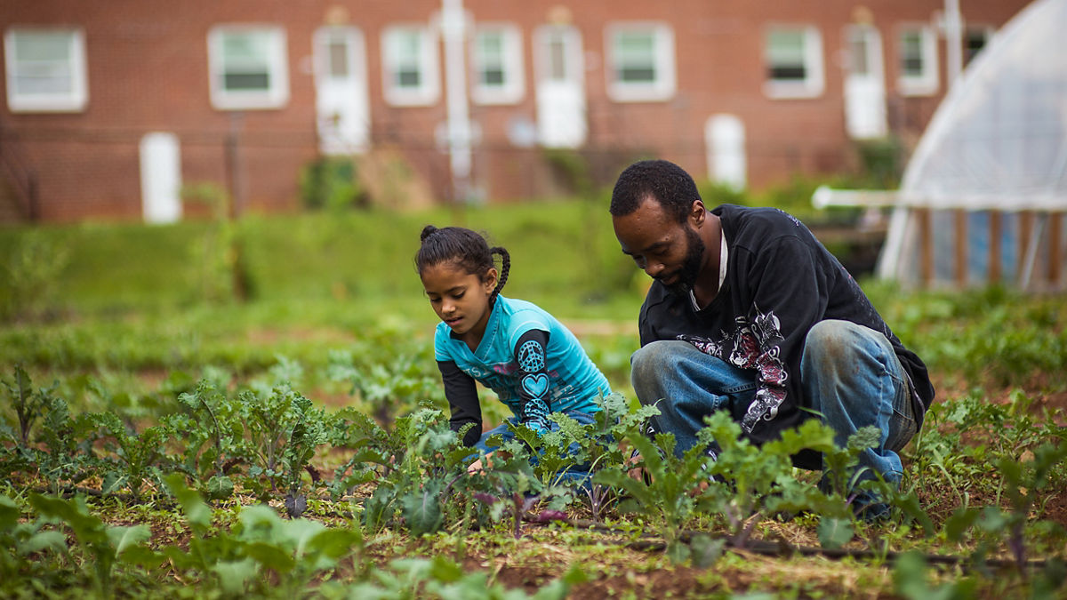 Buncombe County, North Carolina is living proof that improved collaboration among individuals, stakeholders and community leaders can significantly improve health for local residents. Led by the local nonprofit Children First/Communities in Schools, community leaders are attacking the issue of poverty at both the individual level and the policy level. Community leaders are working hard to ensure that children have access to and knowledge about nutritious local food.
