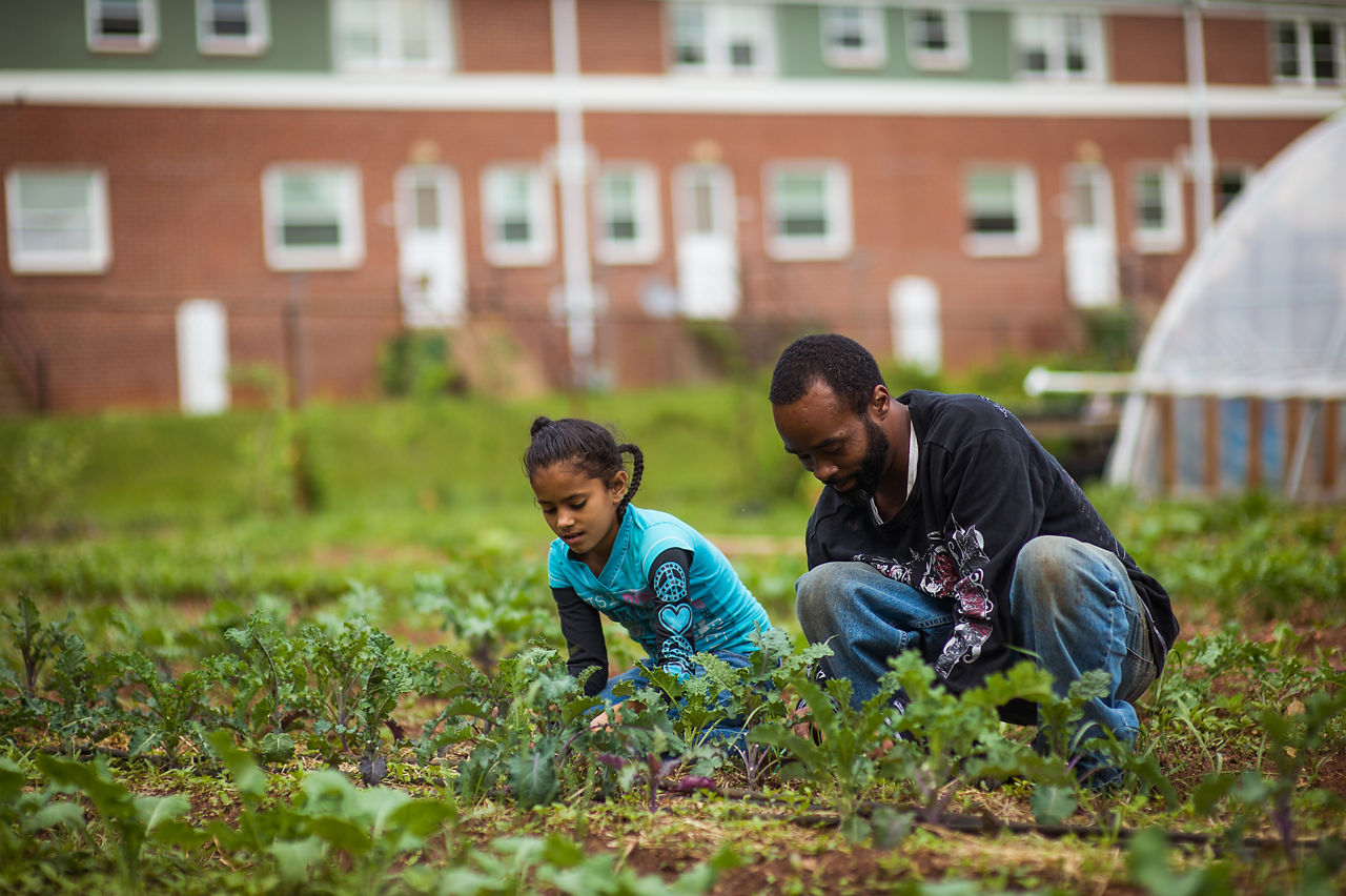 Buncombe County, North Carolina is living proof that improved collaboration among individuals, stakeholders and community leaders can significantly improve health for local residents. Led by the local nonprofit Children First/Communities in Schools, community leaders are attacking the issue of poverty at both the individual level and the policy level. Community leaders are working hard to ensure that children have access to and knowledge about nutritious local food.