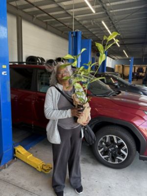 Subaru Loves Earth: Putnam Subaru Distributes Trees to Burlingame Community-Members - Paolo A 