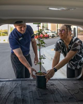  "A Tree for Every Drive" – Young Subaru and the Gift of Growing Green