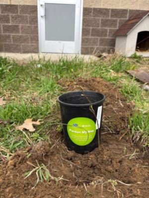Maple Hill Subaru Loves the Earth