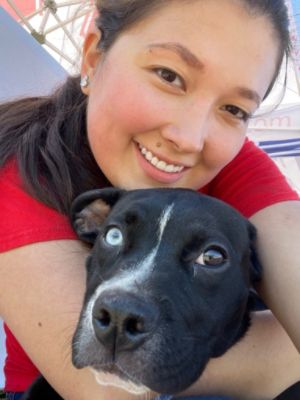 Finding Furever Homes for Rescue Dogs and Cats