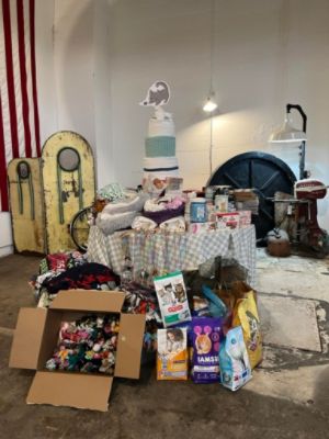 Peninsula Subaru + The Port Orchard Kitten Shower - Raising $950 for local animal shelters