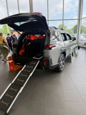 Brilliance Subaru Outback Showcase