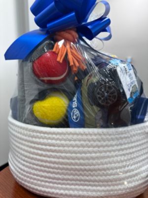 Tails of the Unwanted Fundraising Auction