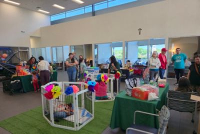 North Park Subaru & ADL's Cinco de Meow-o Adoption Event
