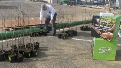 Tree Giveaway with Motor Mile Subaru 