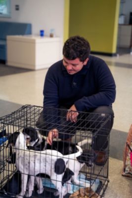 Welcome to Summer! Adoption Event