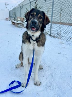 Ralphie's Tail of Hope