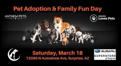 Anthem Pets adoptions at Subaru Superstore of Surprise.
