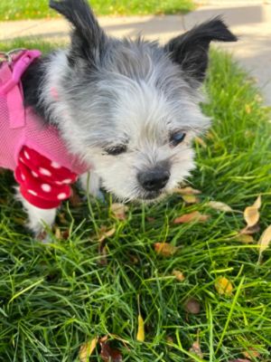 Anne's Second Chance at Forever 