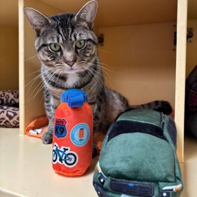 Subaru Loves Pets at Monadnock Humane Society!