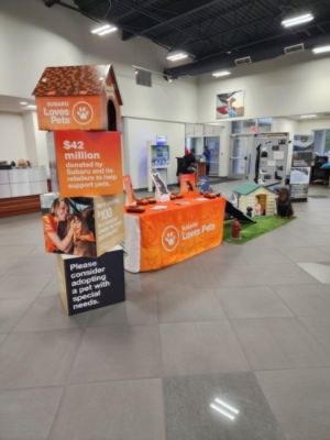 Frederick Subaru helps animals affected by Hurricane Ian