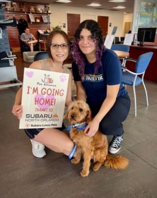 Subaru North Orlando Loves Helping Pets Find Furever Homes