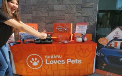 Subaru Loves Pets – Subaru of Macon Hosts Pet Adoption Event with All About Animals
