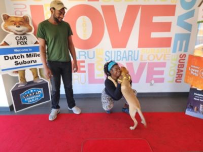 Dutch Miller Subaru Supports the Kanawha-Charleston Humane Association with Our Annual Pet Adoption