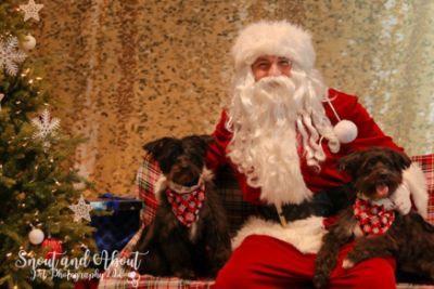 Santa Paws visits Royal Moore Subaru