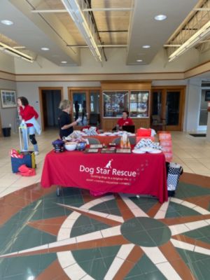 Mitchell Subaru & Dog Star Rescue Pet Adoption