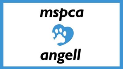 MSPCA Angell