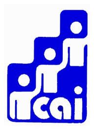 Community Action Inc