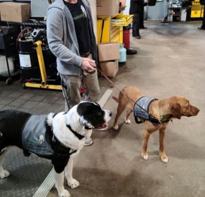 Putnam Service Dogs visit Brewster