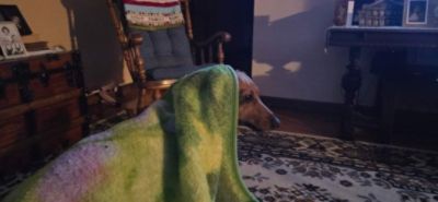 Iris, A Story of Love in a Caring Community