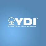 partnerCompanyName