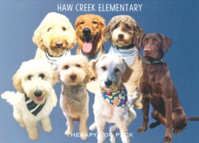 Premier Partner in Education