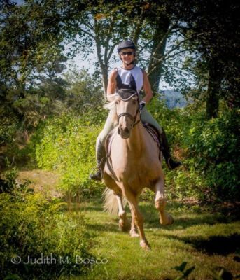 Lyme Hunter Pace at Lord Creek Farm-Lyme Trails Association