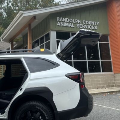Full Bellies, Full Hearts: Subaru Dealership provides food for local pets awaiting adoption