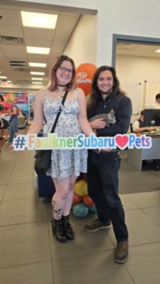 Loving Care Cat Adoption